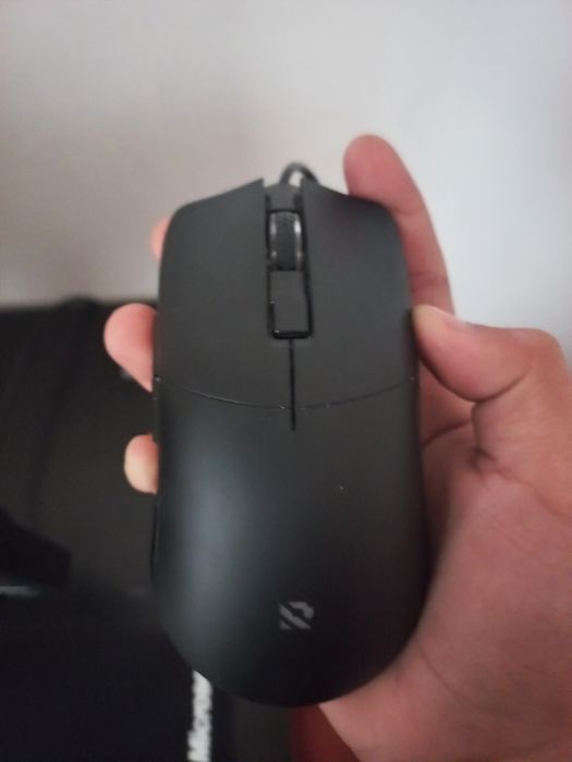 Продаю мышка торг есть