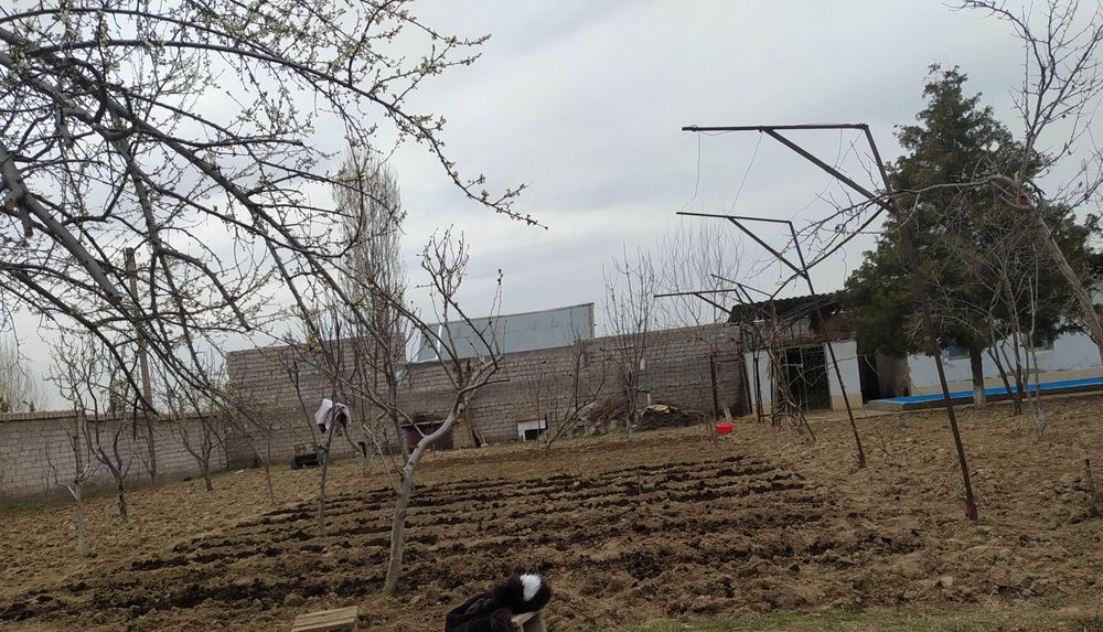 Тошкент вилояти, Ўрта Чирчиқ тумани, Бешбой МФЙ 20 сотих ҳовли, 2 қ