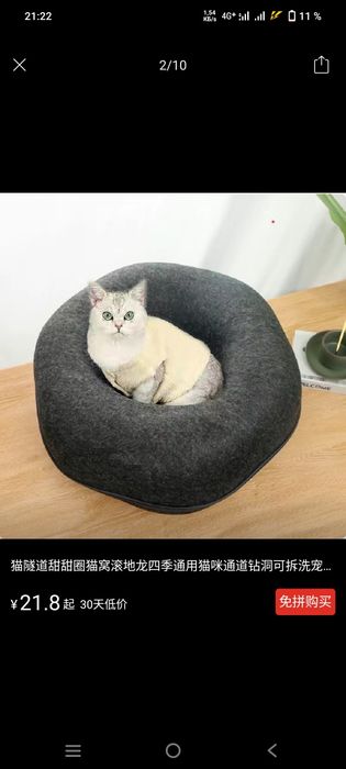 Домик для кота новый