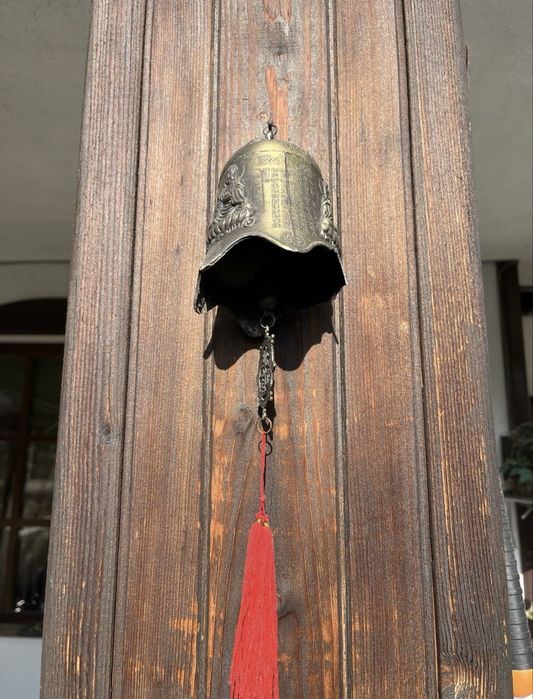 Продавам китайска  хлопка 25€