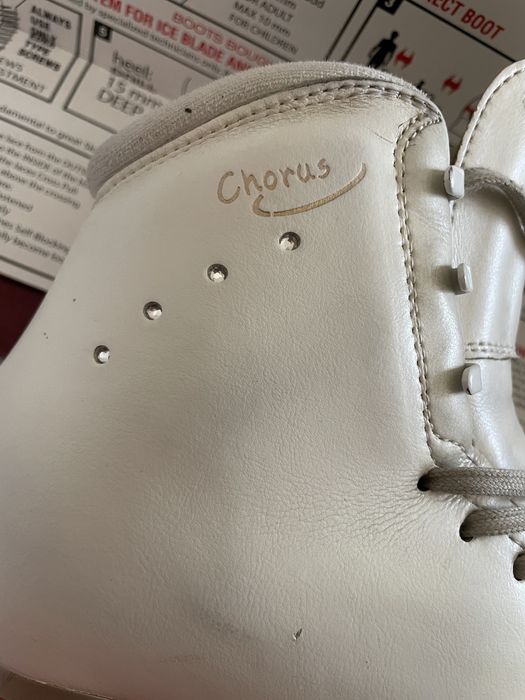 Коньки профессиональные