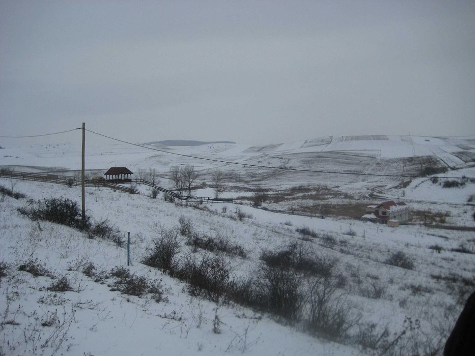 Teren intravilan pentru constructii in Chinteni