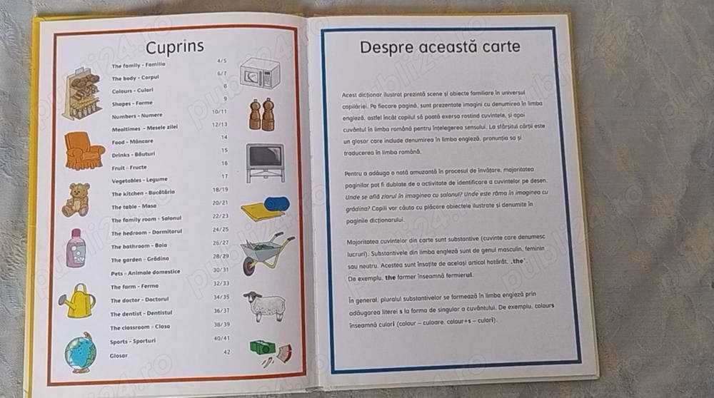 Dicționar ilustrat englez român (Teora)