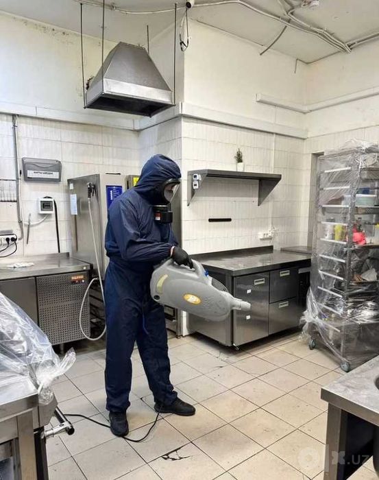 Dezinfeksiya klop дезинфекция Уничтожение насекомых, тараканов, клоп
