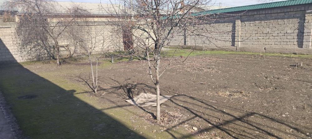 Xovli sotiladi joy sergilida