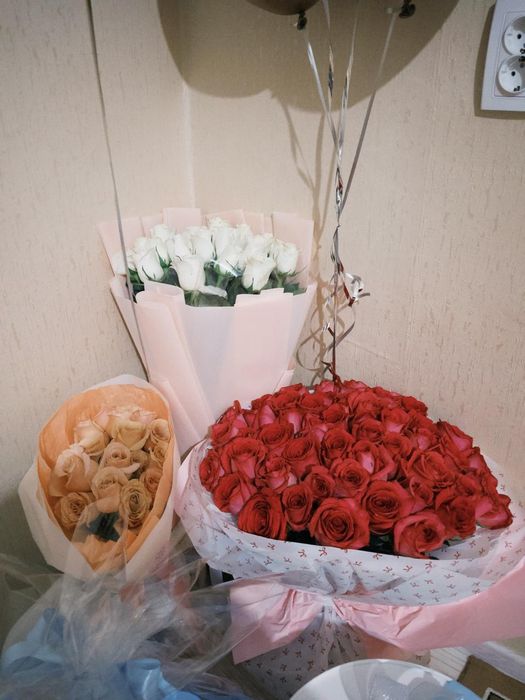 Продам цветы можно договориться