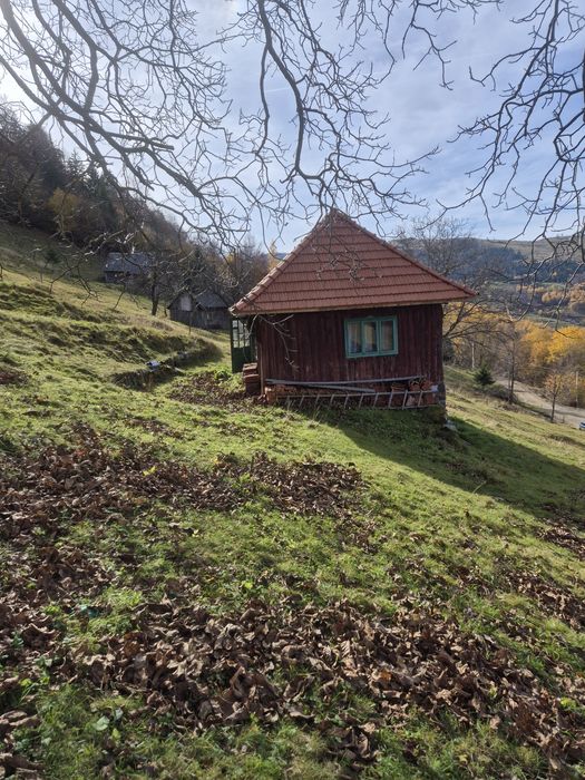 Teren de vanzare 6.5 hectare tranisu Cluj