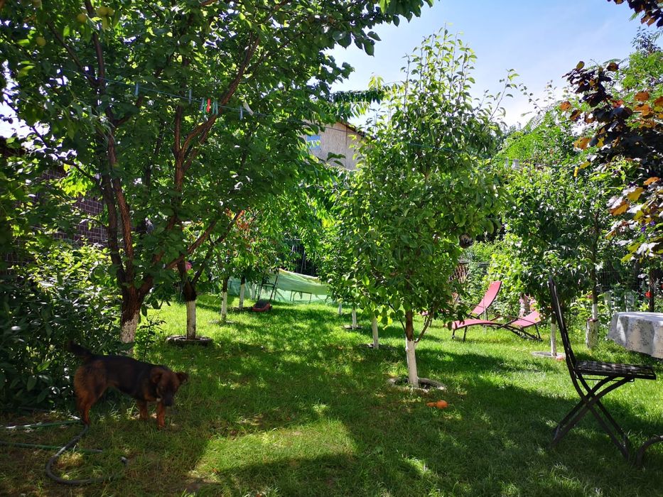 Casa zona de jos Onesti