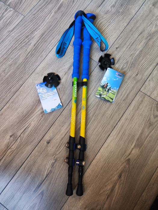 Горные телескопические палки