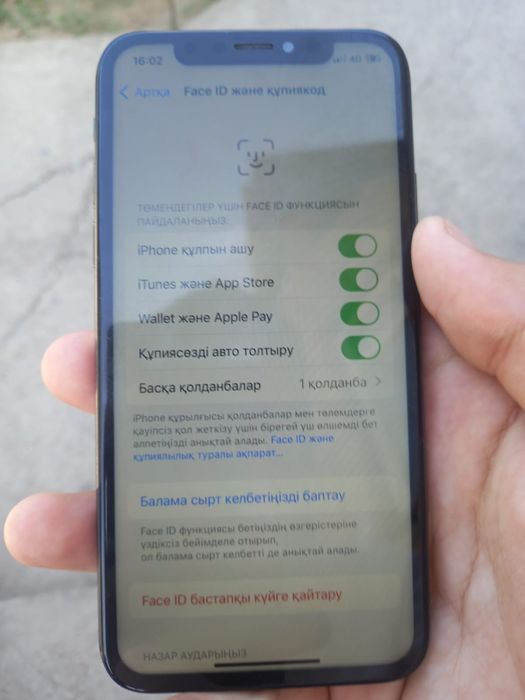 Iphone x  идеалный