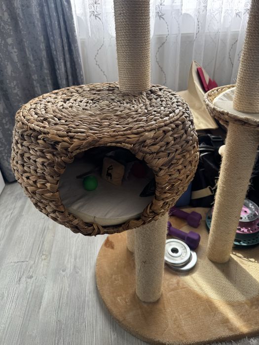 Ansamblu de joacă pisici