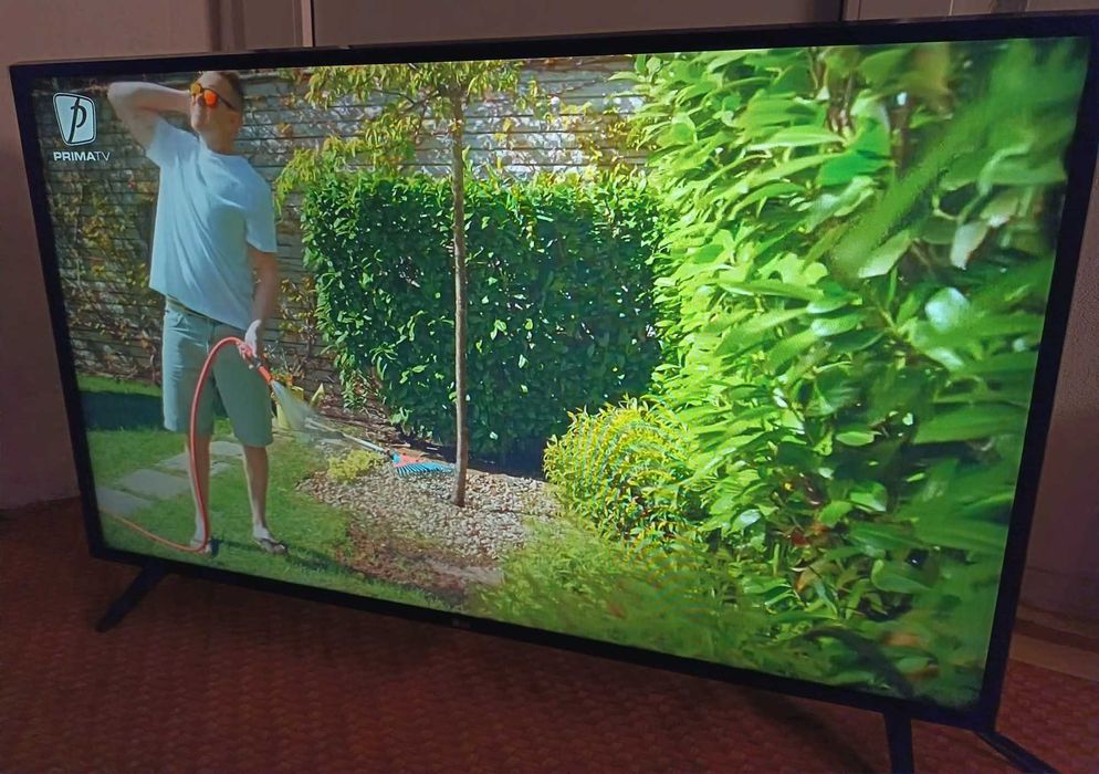 Televizor LED Smart LG, 108 cm, 43LJ594V, Full HD, Clasa A+