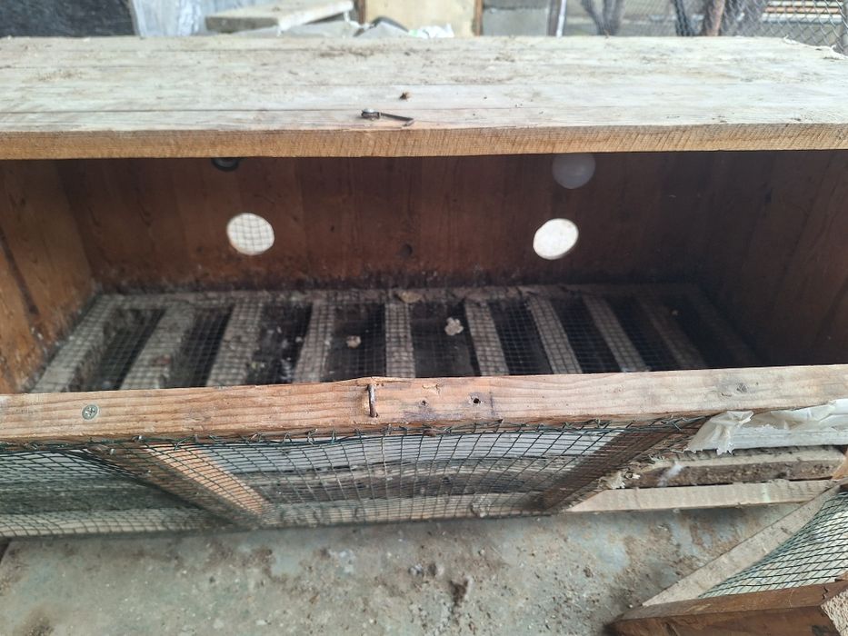 Брудер сатылады..