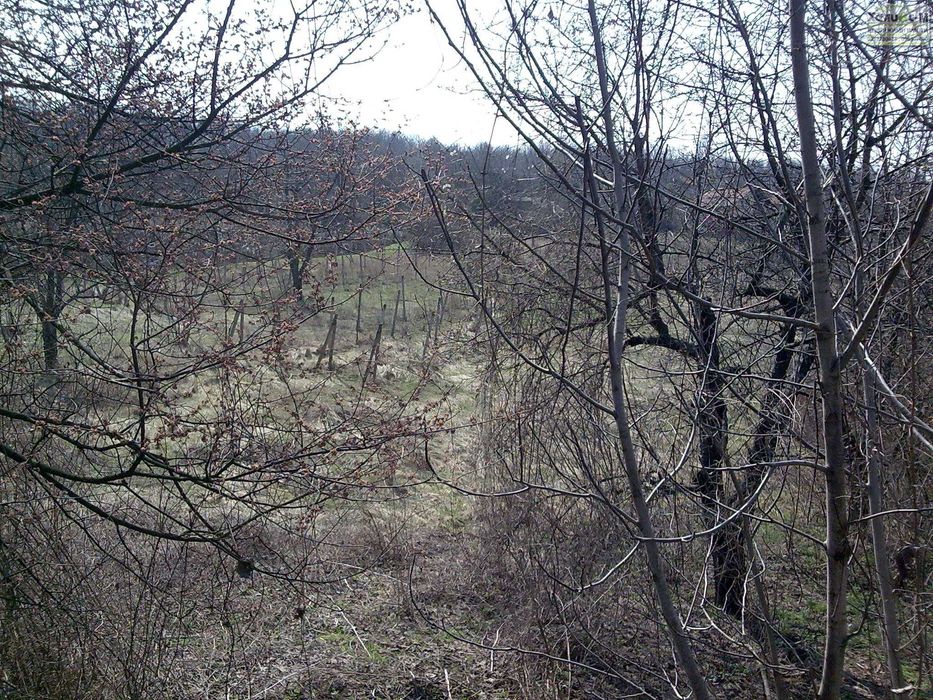 Парцел на главен път, вилна зона "ПАРТА", гр.Монтана