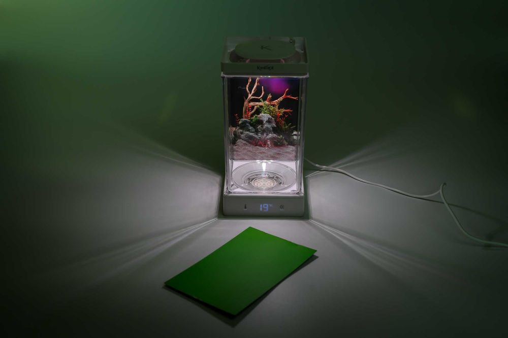 Mini Acvariu de birou Kodiak  special pentru pesti Beta