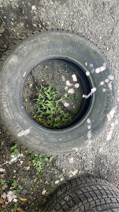 Продам зимние шины