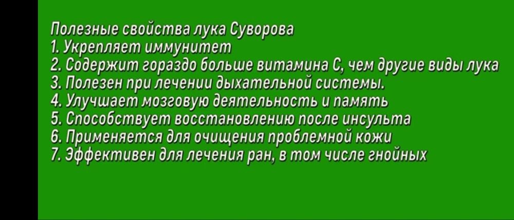 Продаются луковицы лука Суворова