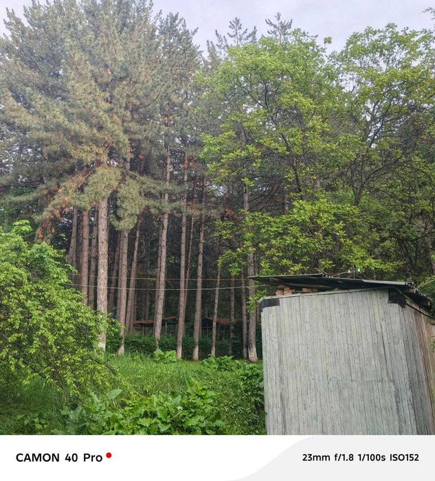 KUMUSHKON sanatoriya oldidan zor YER 55 sotok 80 yillik archala