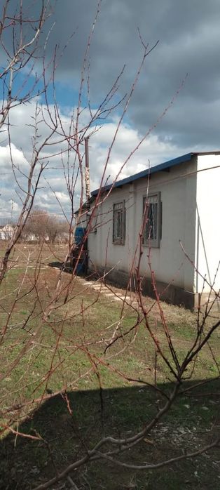 Частный дом юзимний вариант