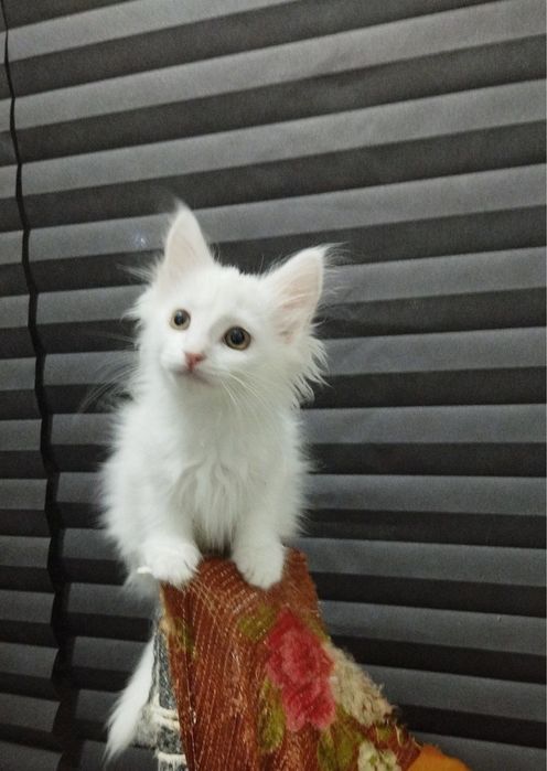 Мальчишка ищет свой дом!