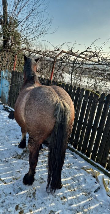 De vanzare,detalii in privat