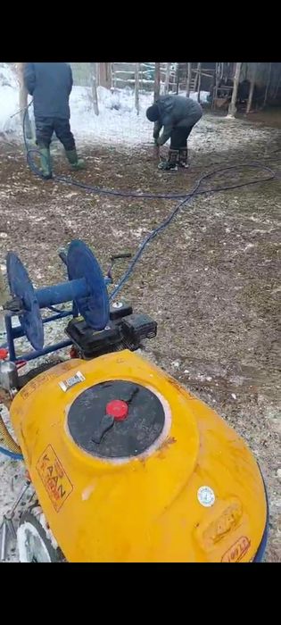 Дезинфекция. Кәсіби өңдеу.