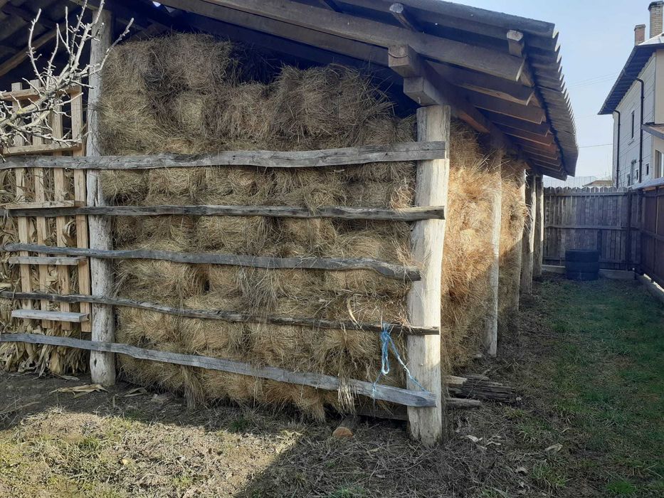 Baloti de fan dreptunghiulari