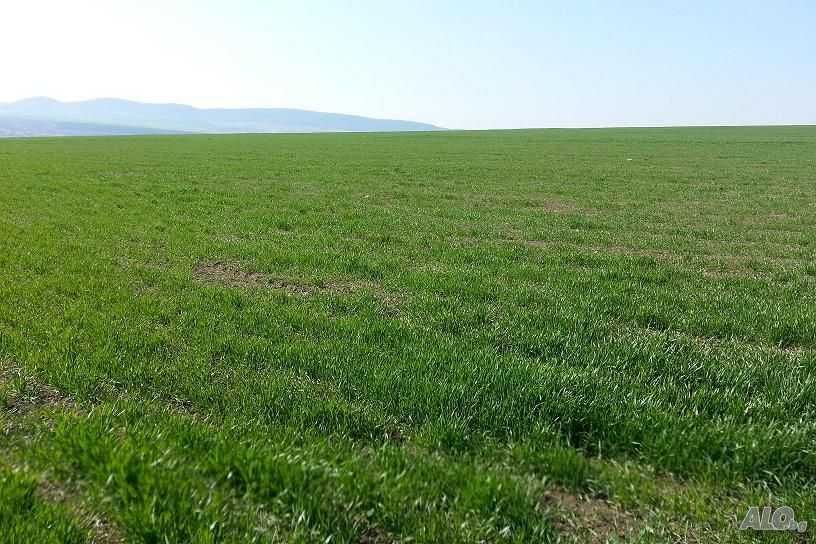 Продава се Парцел в Бургас, Център - 8000 кв.м за 8 €/кв.м - Снимка #1