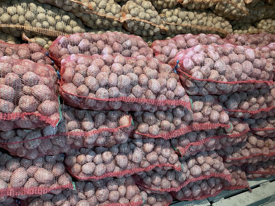 Cartofi  consum  Alb și Roșu (0,8 lei)