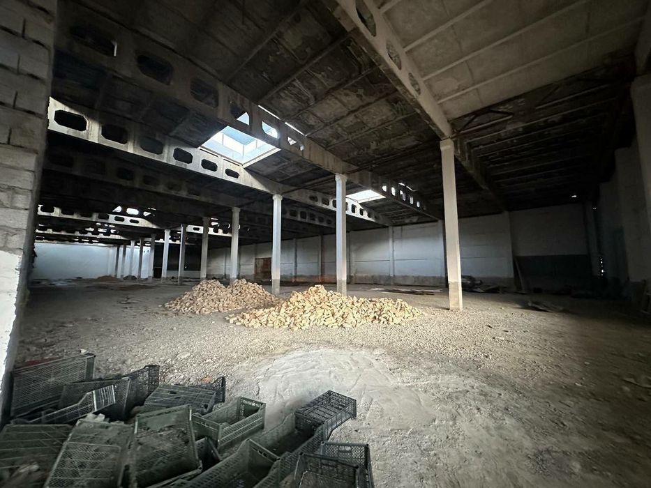 Срочно Горит Продается Земля Чингельди 5 Га