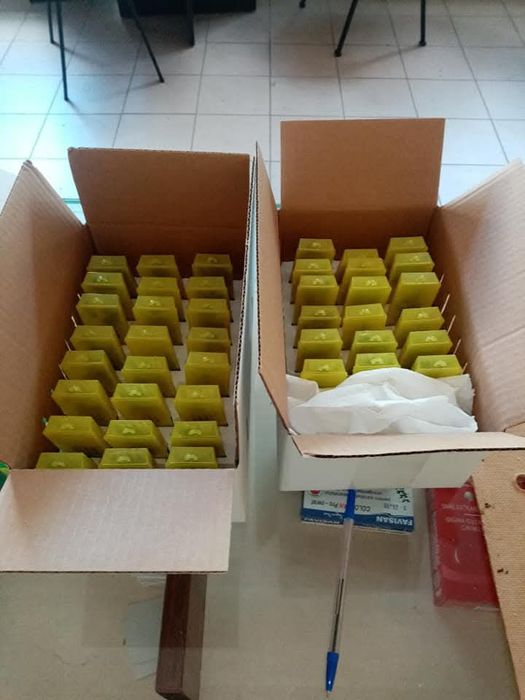 Vând mătci albine sezon 2026