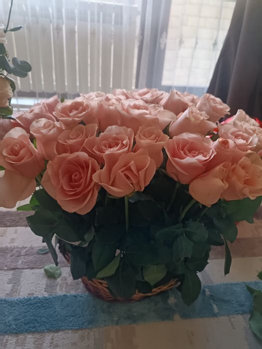 Кустовые розы цветы