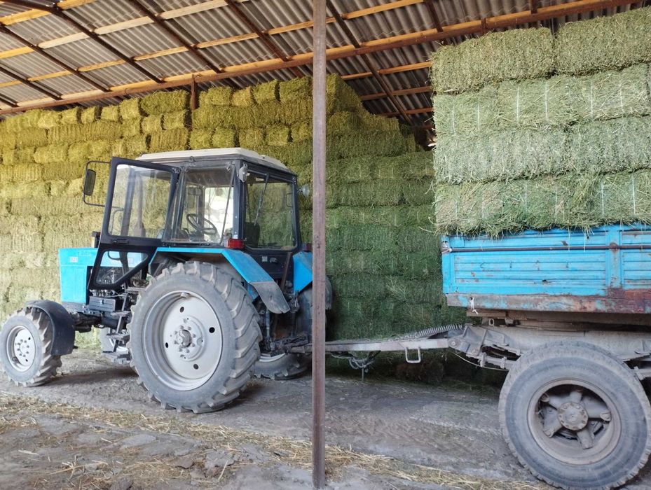 Сено, клевер, тюк.