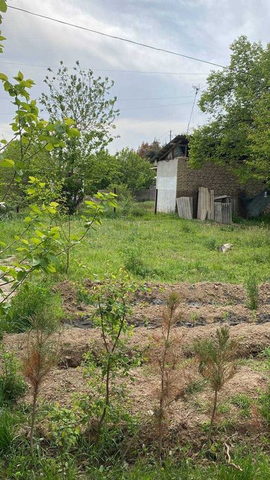 СРОЧНО ! Продаётся дача с кадастром - Богишамол