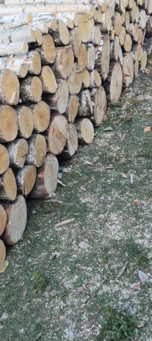 Lemne de foc , esențe tari
