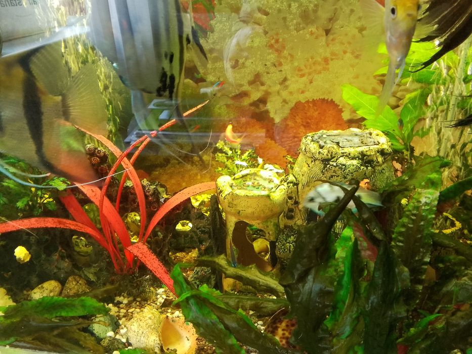 Аквариум 80/40 высота 70