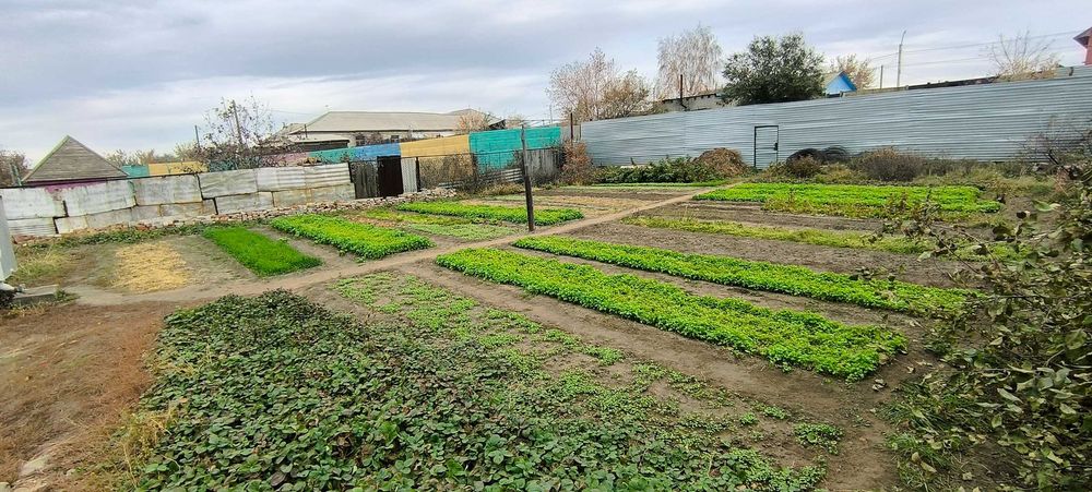 Продается дом в Затобольске