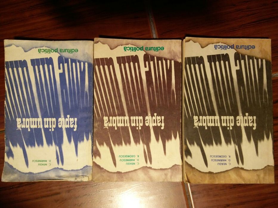 Cupola Fapte din umbra - NEAGU COSMA