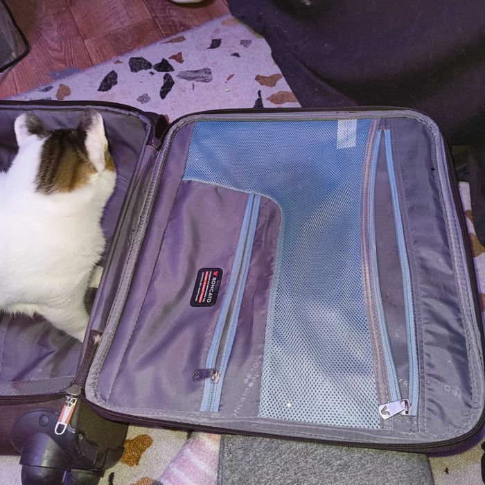 Чемодан небольшой