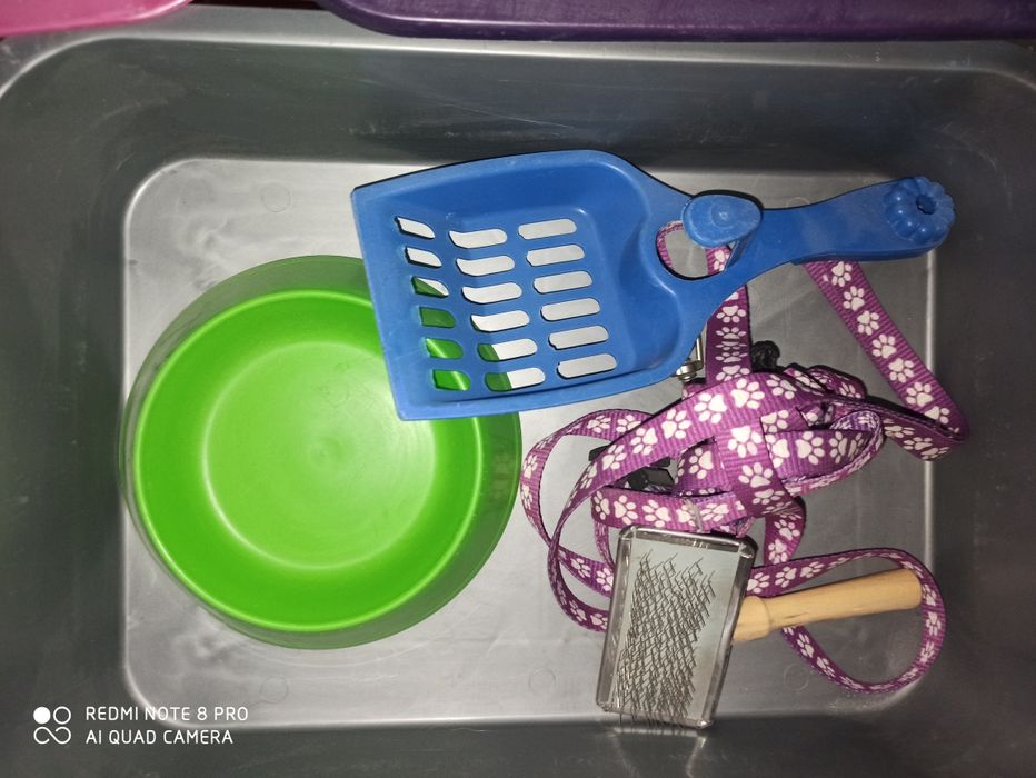 Лотки для кошек собак