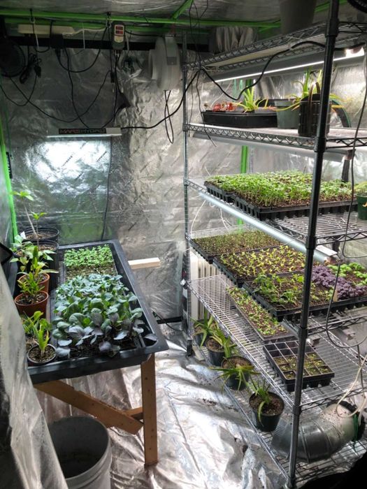 палатка теплица разных размеров