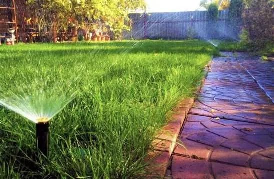 Газон. Озеленение. Автополив.