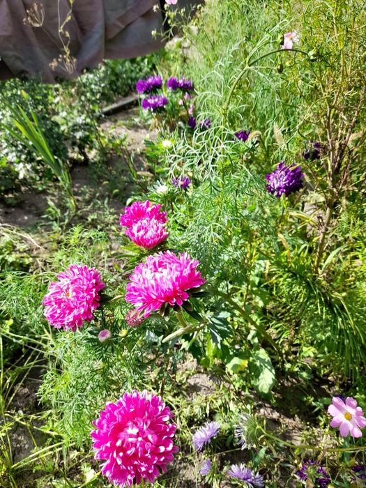 Срочно! Продам дачу! Район Бобровка