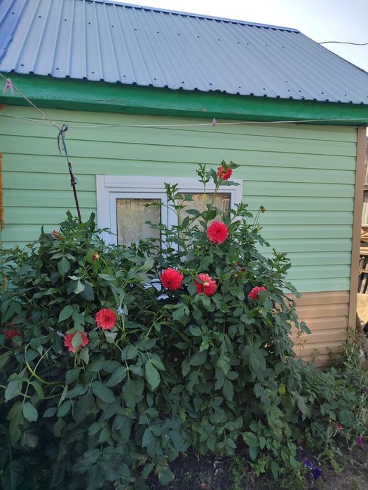 Продажа дачи в СТ "Борки"