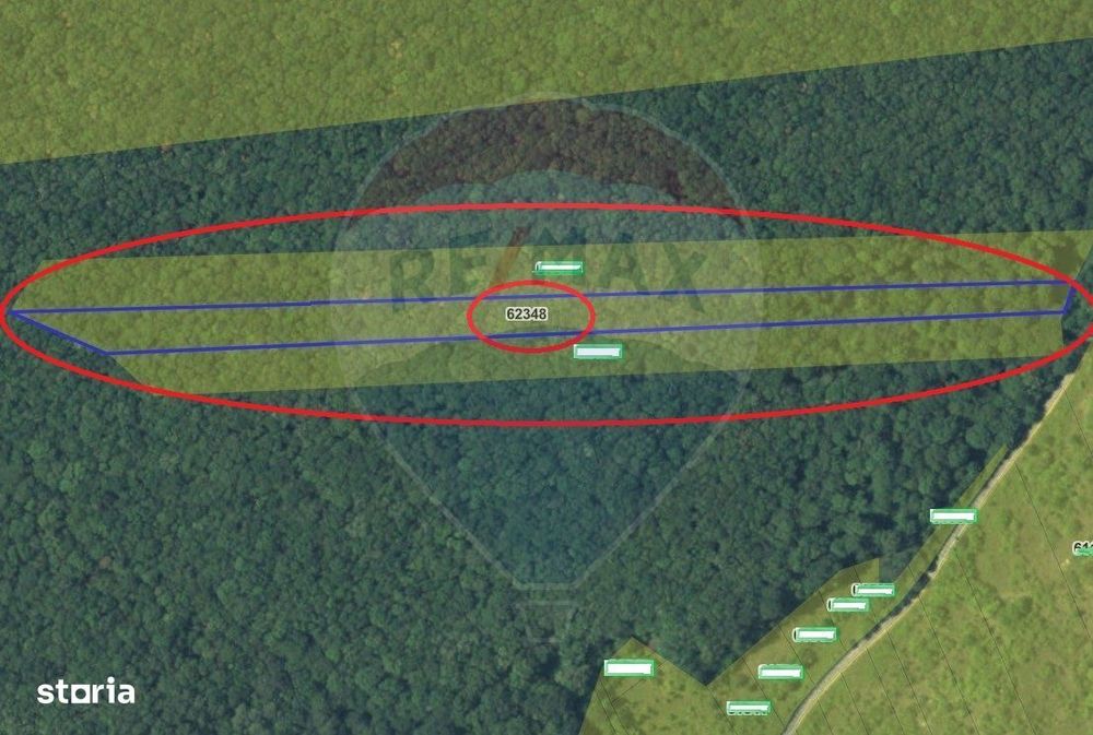 Padure de vanzare – 7.000 mp, Dealu Morii, jud. Bacau