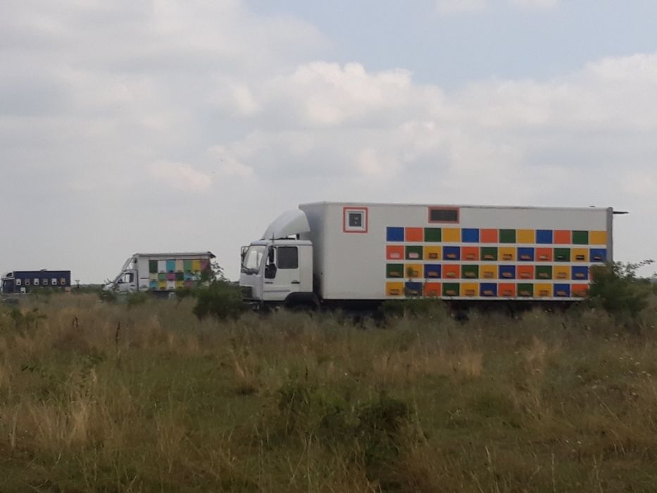 Miere de albine naturală 100%