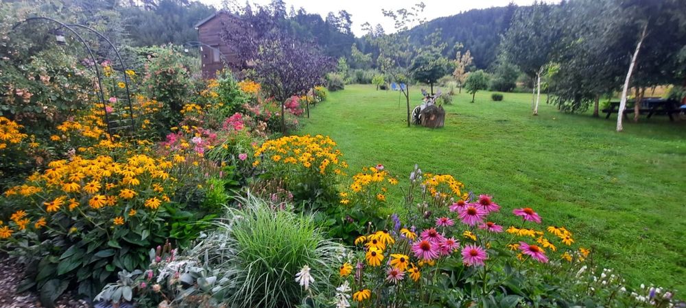 Refugiu în natură – cabană de închiriat pe termen lung, lângă Brașov