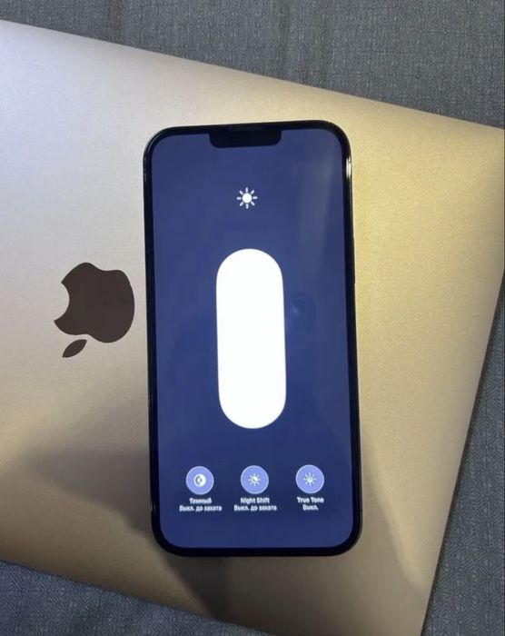 iPhone 13 Pro Max Ideal