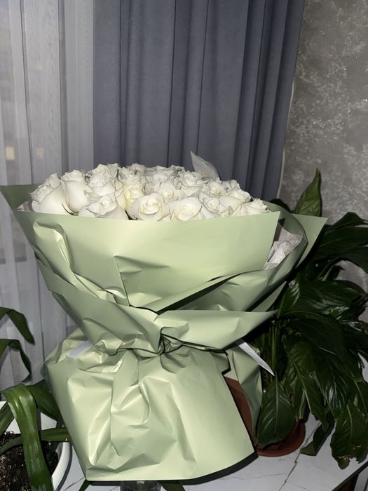Цветы продам срочно