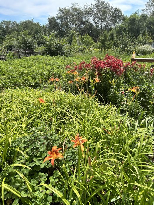 Продам Дачу на Уралочке